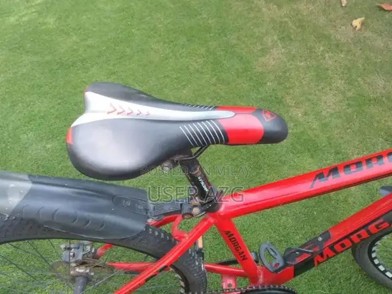 24-Inch Bicycle in Excellent New Condition