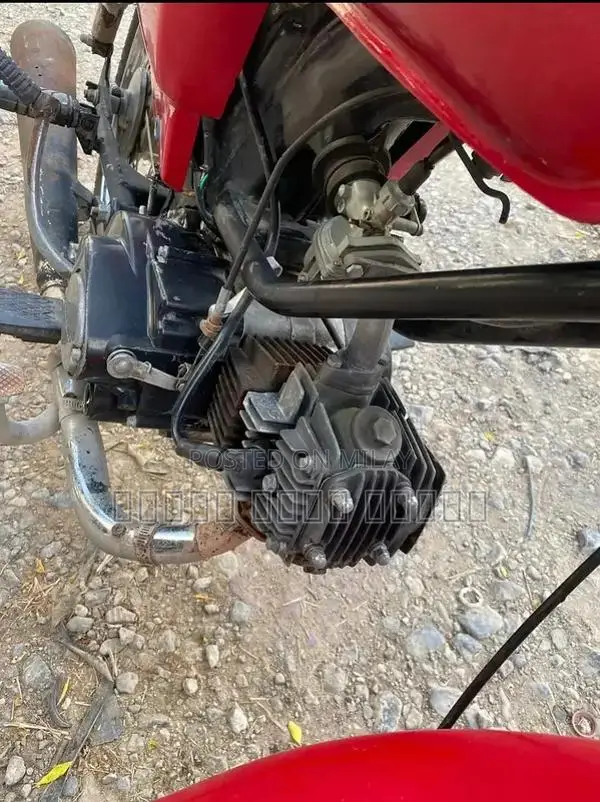 Road Prince RP 110 2023