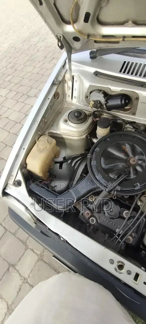 Suzuki Mehran 2005 Compact Sedan