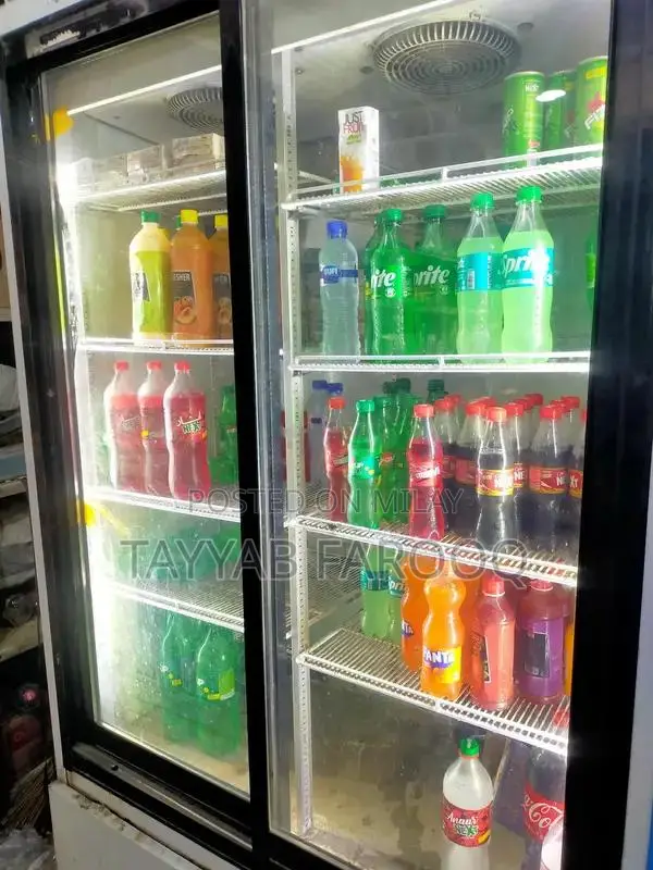 InterCool Commercial Double Door Refrigerator Chiller