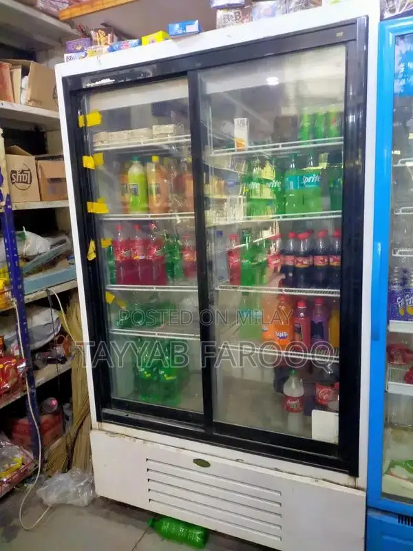 InterCool Commercial Double Door Refrigerator Chiller