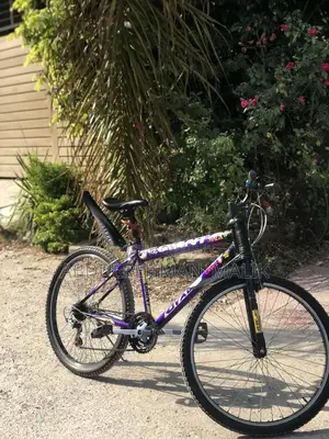 Photo - Well-Maintained Used Bicycle in Good Condition