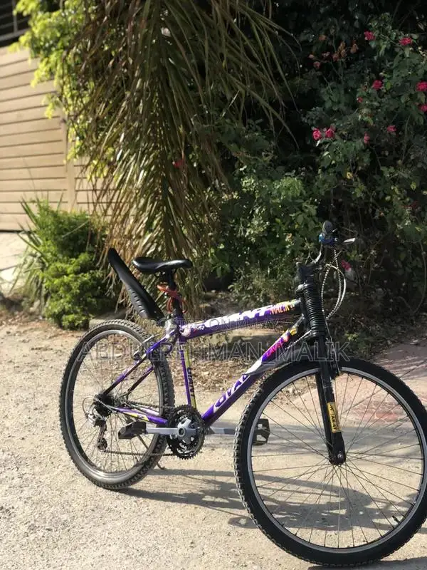 Well-Maintained Used Bicycle in Good Condition