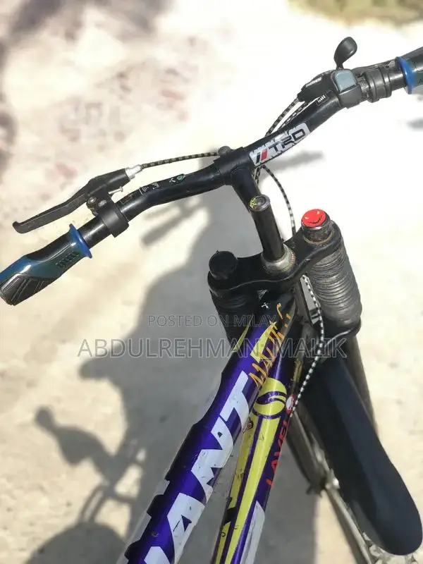 Well-Maintained Used Bicycle in Good Condition