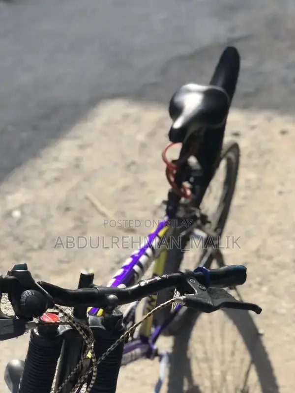 Well-Maintained Used Bicycle in Good Condition