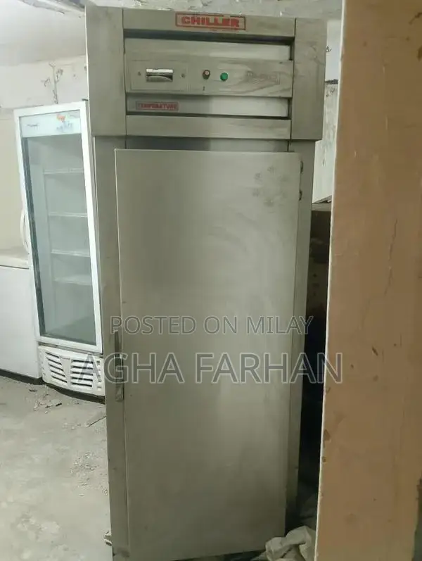 Commercial Deep Freezer for Restaurant Food Service