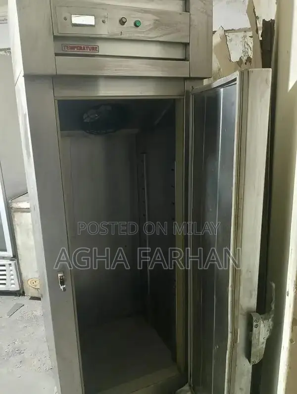 Commercial Deep Freezer for Restaurant Food Service