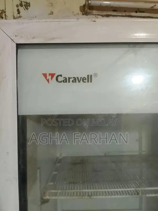 Commercial Deep Freezer for Restaurant Food Service