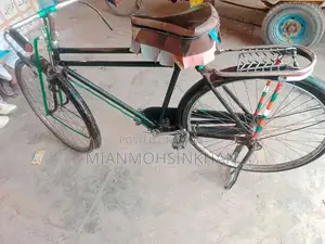 Photo - Classic Chinese Bicycle for Urban and Leisure Cycling