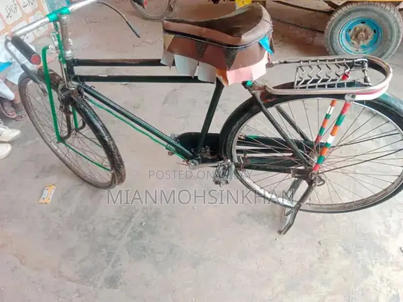 Classic Chinese Bicycle for Urban and Leisure Cycling