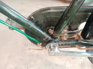 Classic Chinese Bicycle for Urban and Leisure Cycling