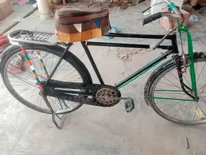 Classic Chinese Bicycle for Urban and Leisure Cycling