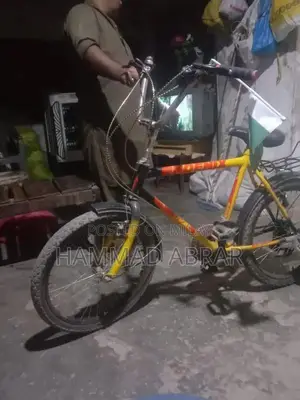 Photo - Feonix Cycle Bicycle - Lightly Used Condition