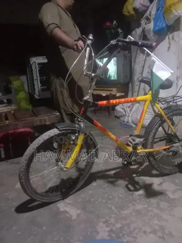 Feonix Cycle Bicycle - Lightly Used Condition