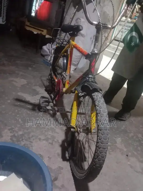 Feonix Cycle Bicycle - Lightly Used Condition