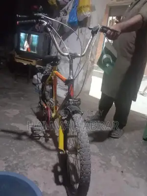 Feonix Cycle Bicycle - Lightly Used Condition