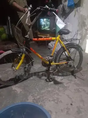 Feonix Cycle Bicycle - Lightly Used Condition