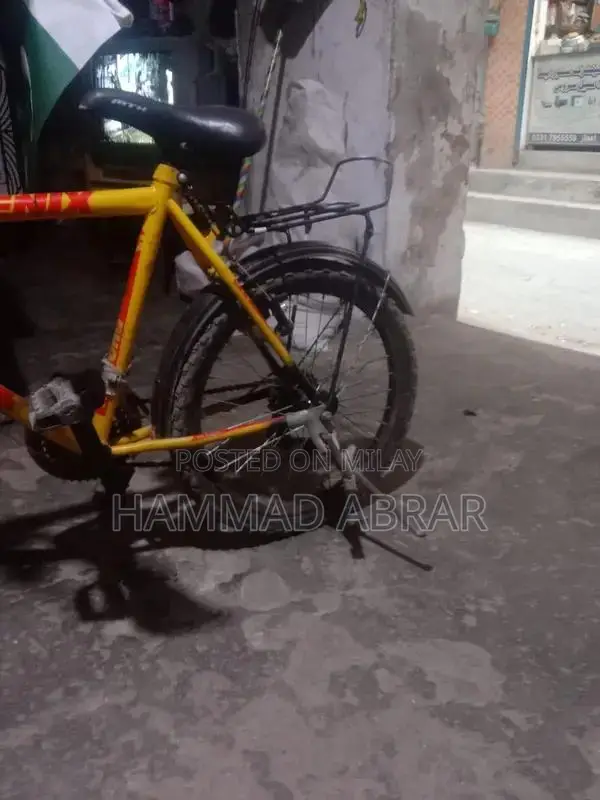 Feonix Cycle Bicycle - Lightly Used Condition