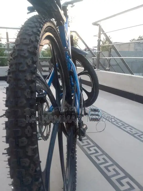 Full Size Alloy Rim Bicycle with Multiple Gears