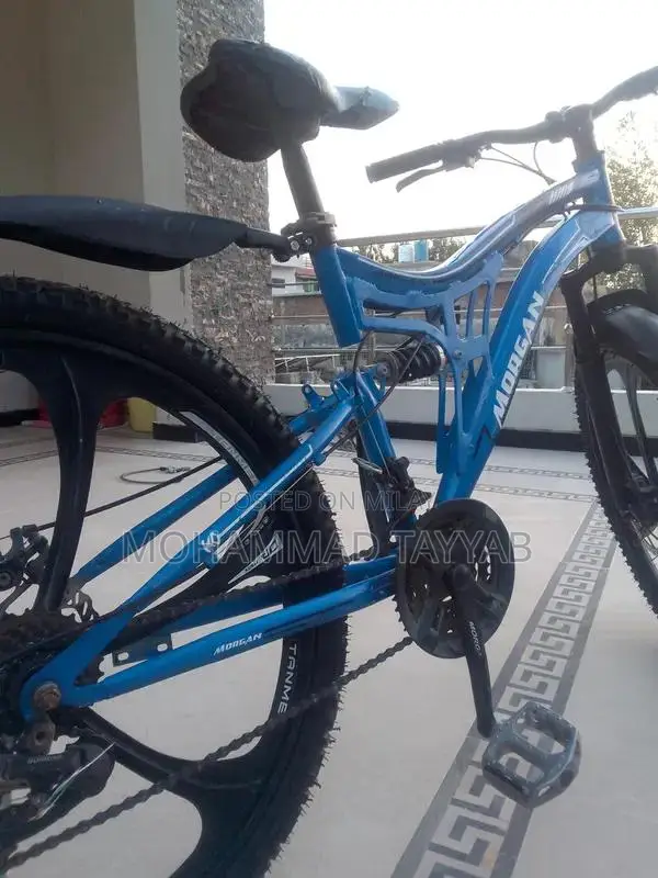 Full Size Alloy Rim Bicycle with Multiple Gears