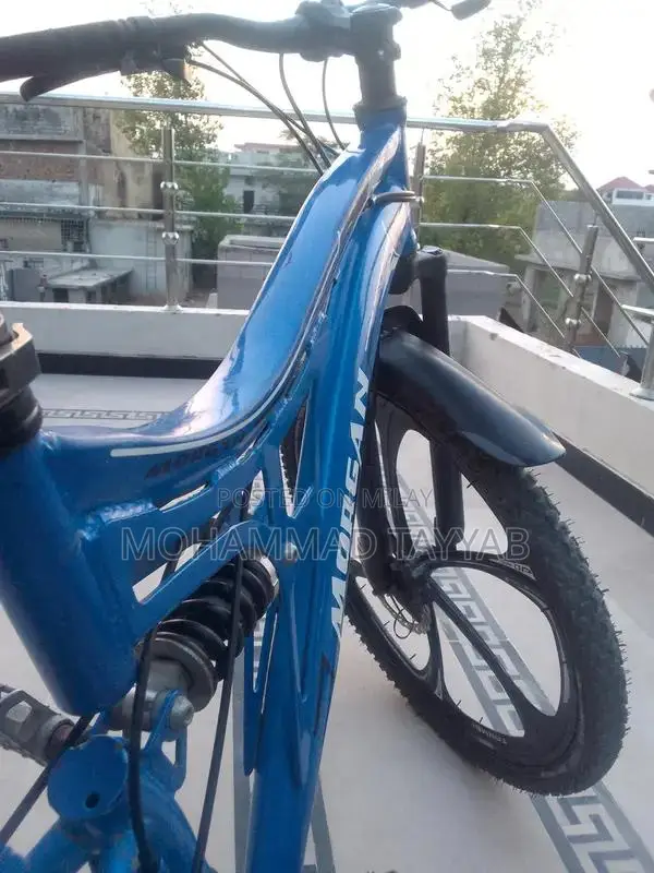 Full Size Alloy Rim Bicycle with Multiple Gears