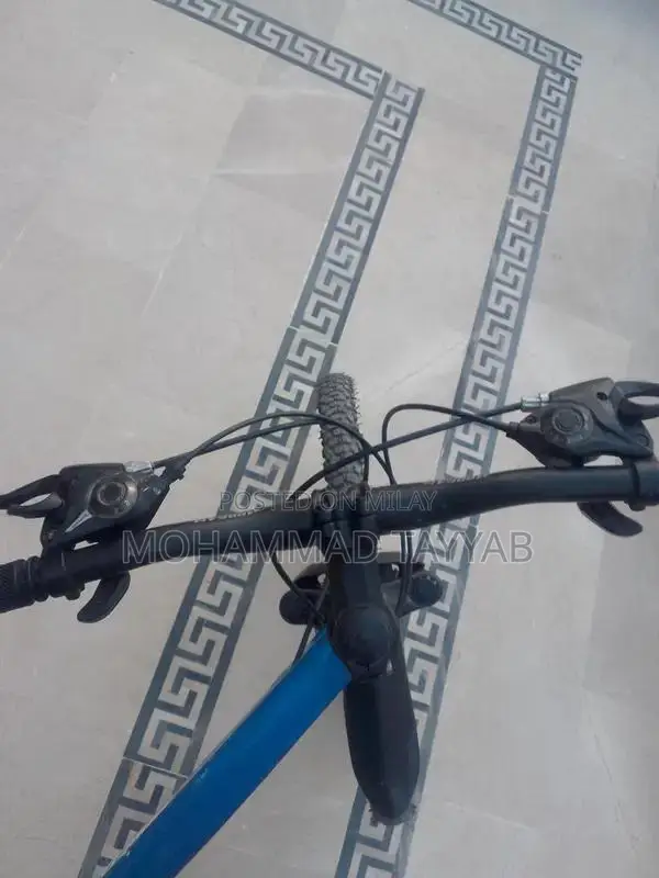 Full Size Alloy Rim Bicycle with Multiple Gears