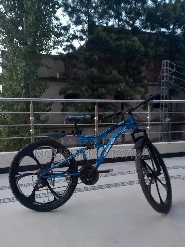 Full Size Alloy Rim Bicycle with Multiple Gears