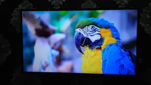 Samsung 40-inch Full HD LED TV with Slim Border