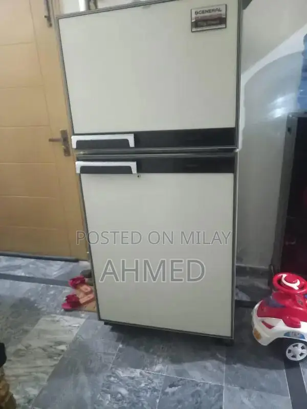 Large Japanese No-Frost Refrigerator with Advanced Cooling