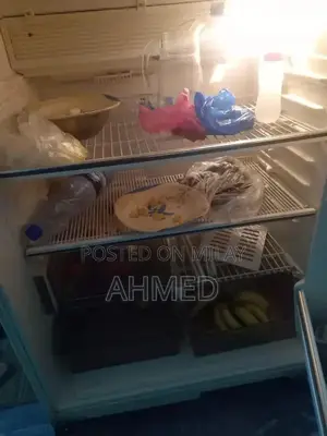 Large Japanese No-Frost Refrigerator with Advanced Cooling