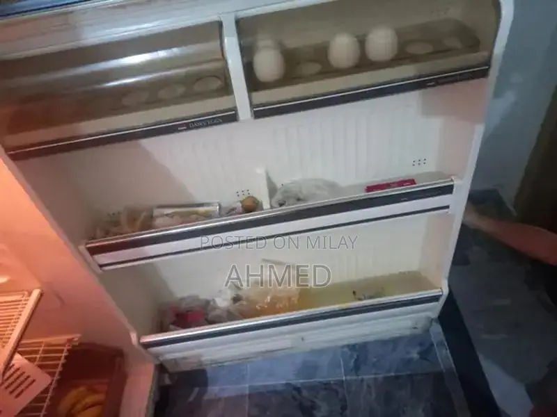 Large Japanese No-Frost Refrigerator with Advanced Cooling