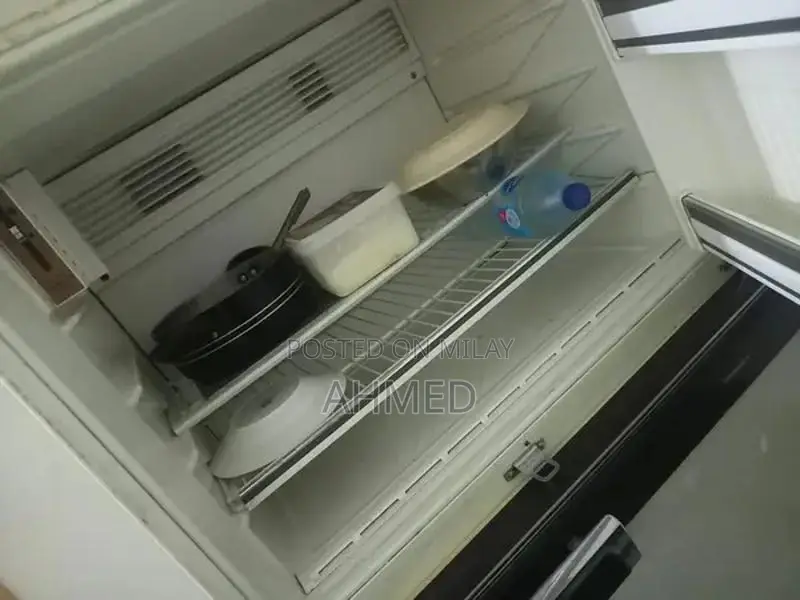 Large Japanese No-Frost Refrigerator with Advanced Cooling