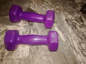Compact 2kg Hand Dumbbells for Home Fitness Exercise