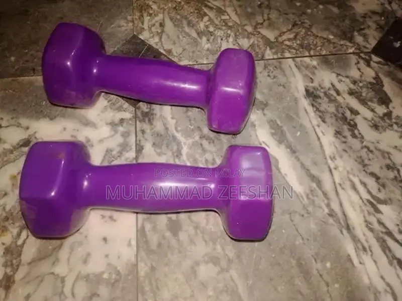 Compact 2kg Hand Dumbbells for Home Fitness Exercise