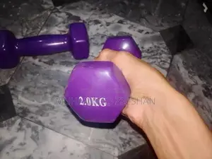 Compact 2kg Hand Dumbbells for Home Fitness Exercise