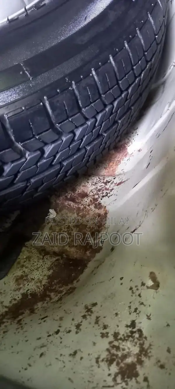 Well-Maintained Car in Excellent Showroom Condition