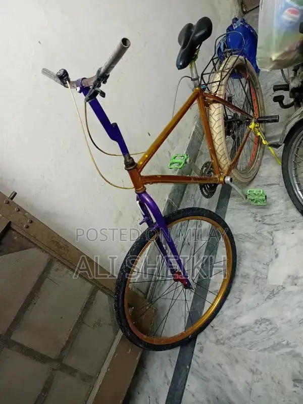 Japanese Silver Bicycle Wheel for Cycling Accessories