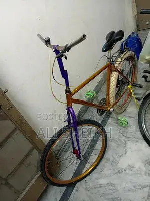 Japanese Silver Bicycle Wheel for Cycling Accessories