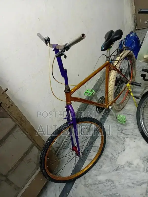 Japanese Silver Bicycle Wheel for Cycling Accessories