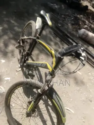 Well-Maintained Bicycle in Good Condition - Ready to Ride