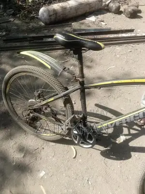 Well-Maintained Bicycle in Good Condition - Ready to Ride