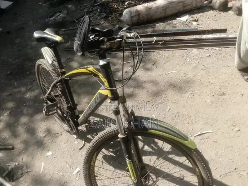 Well-Maintained Bicycle in Good Condition - Ready to Ride