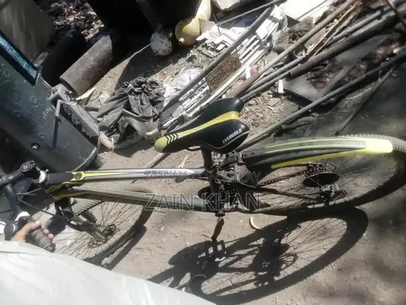 Well-Maintained Bicycle in Good Condition - Ready to Ride