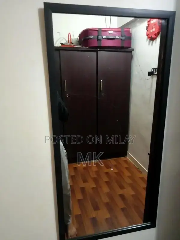 Full Length Black Frame Decorative Wall Mirror