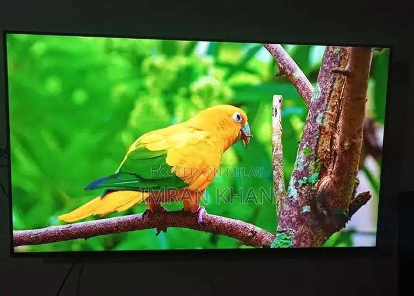 Ecostar 55-Inch 4K Ultra HD Smart LED TV with Streaming Services