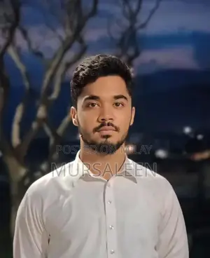 Photo - Professional Driver with Extensive Experience Available for Hire