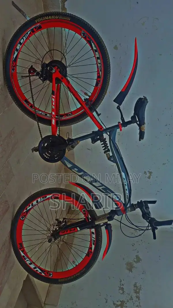 Aluminum Frame Gear Cycle with Front Disk Brake