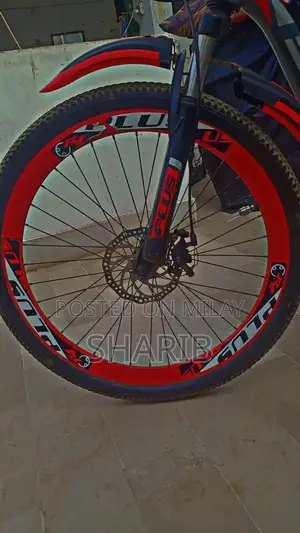 Aluminum Frame Gear Cycle with Front Disk Brake
