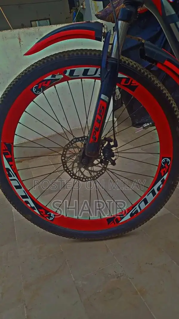 Aluminum Frame Gear Cycle with Front Disk Brake