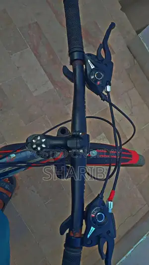 Aluminum Frame Gear Cycle with Front Disk Brake